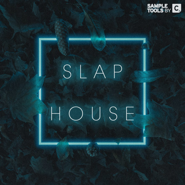 Slap House - Artwork