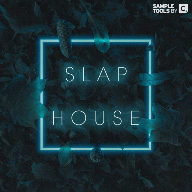 List 102+ Pictures what is slap house genre Full HD, 2k, 4k