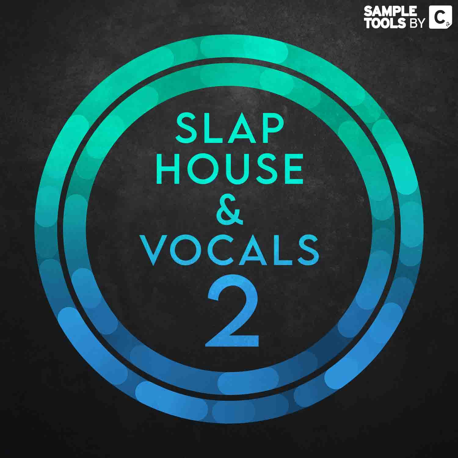 slap house and vocals 2
