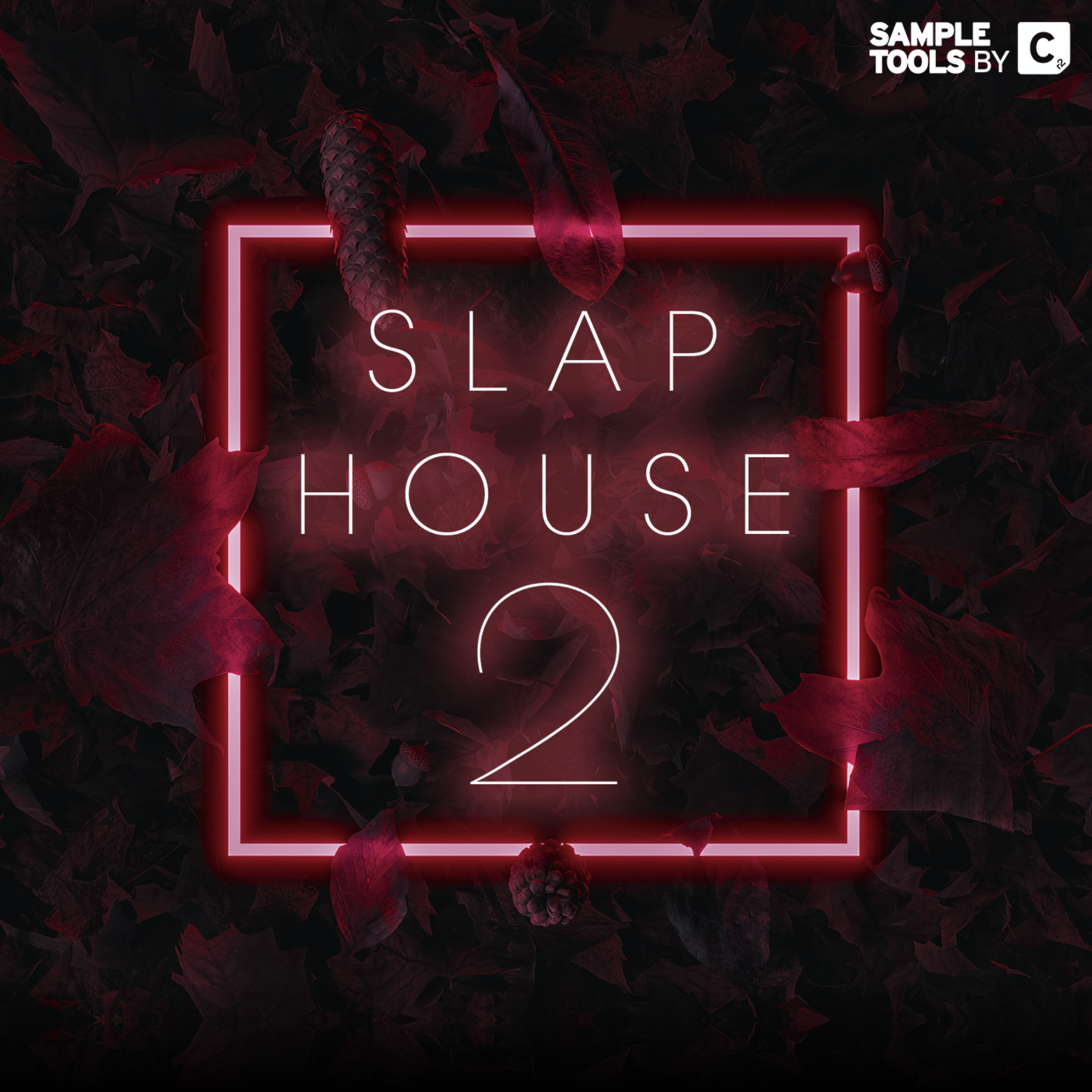 Slap House 2 - Artwork