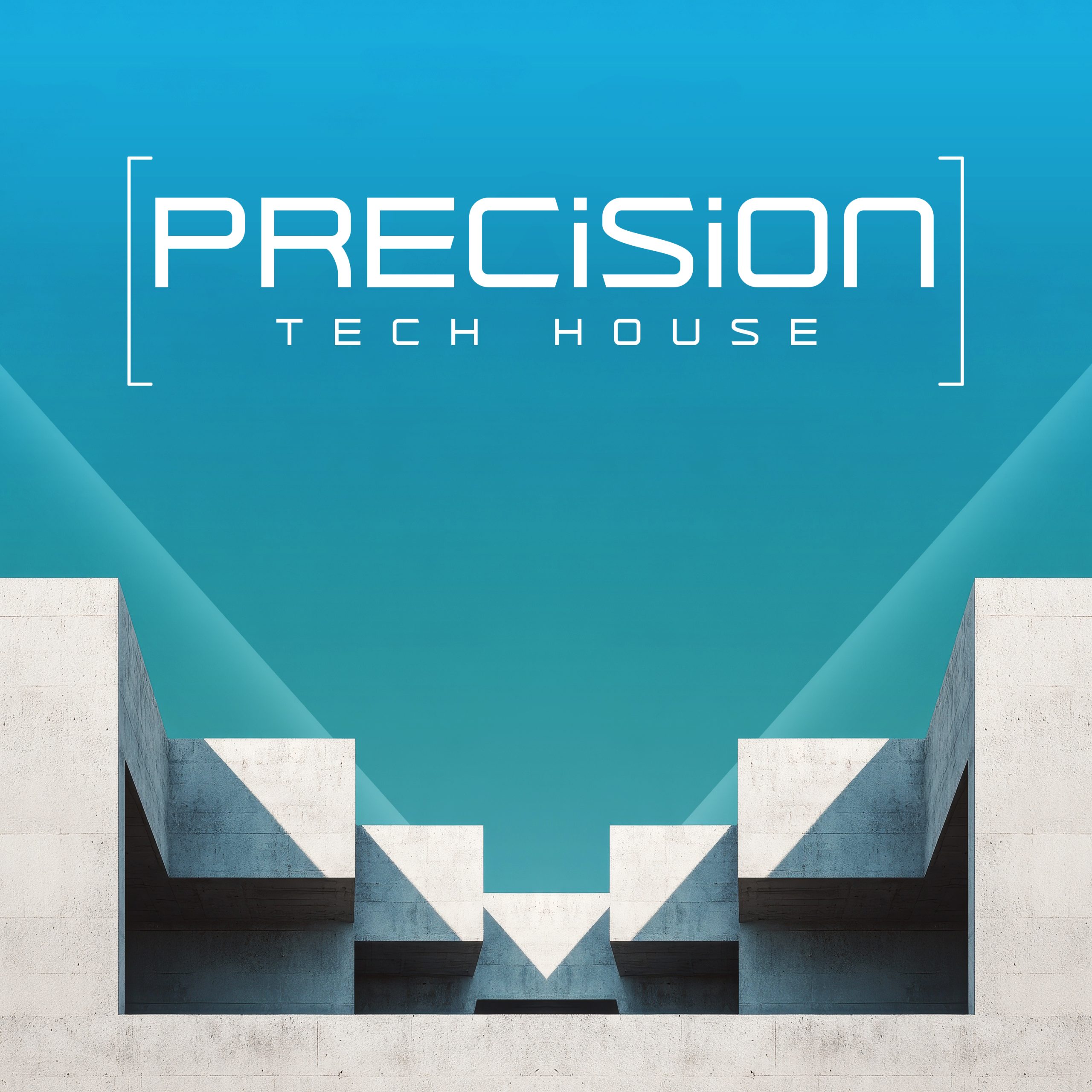 Precision Tech House - Artwork
